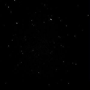 Meet your Posher, Cody